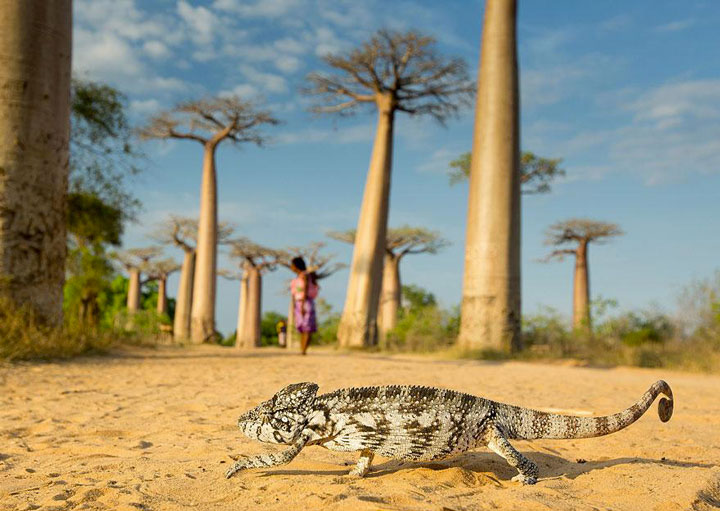 22-sublimes-photographies-danimaux-prises-durant-le-concours-national-geographic-9
