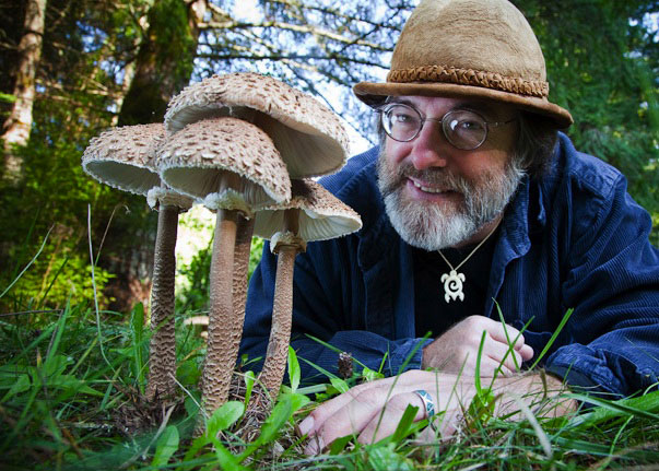 6-vertus-extraordinaires-que-possedent-les-champignons-et-qui-pourraient-bien-sauver-notre-planete-une
