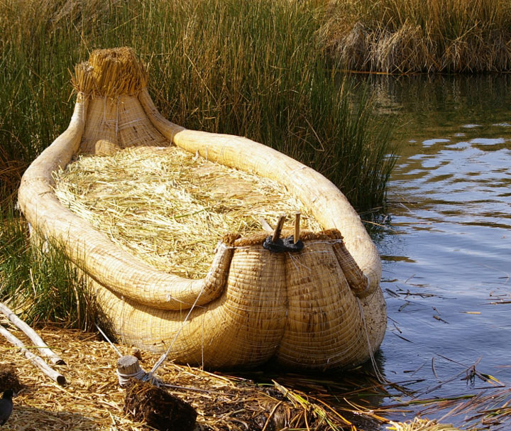 8-faits-stupefiants-sur-levolution-de-lhomme-que-vous-ignoriez-peut-etre-8