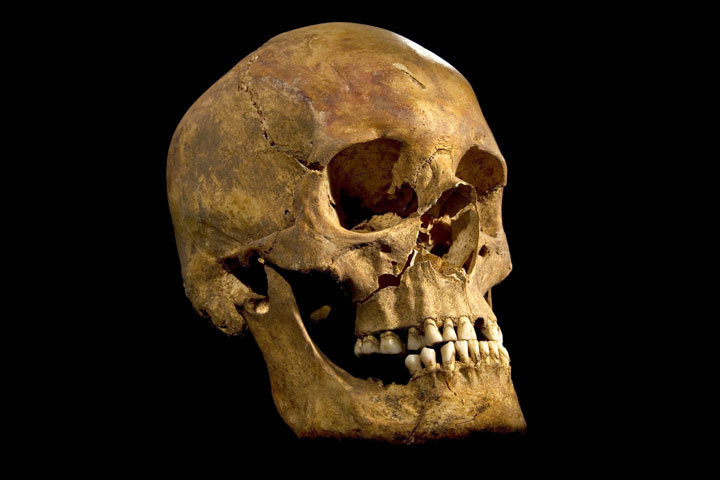 8-faits-stupefiants-sur-levolution-de-lhomme-que-vous-ignoriez-peut-etre6