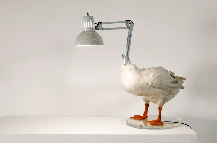de-brillantes-lampes-extremement-creatives16