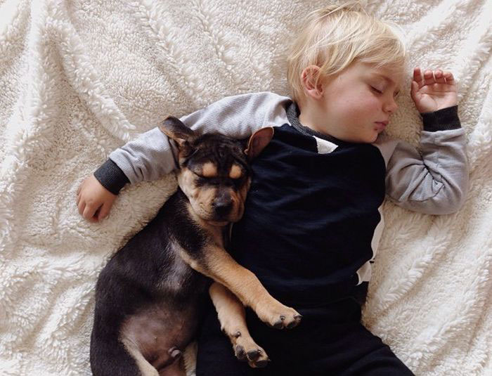 decouvrez-lemouvante-relation-dun-chiot-et-dun-enfant-a-travers-une-serie-de-cliches-touchants21