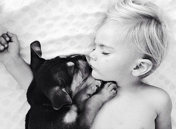 decouvrez-lemouvante-relation-dun-chiot-et-dun-enfant-a-travers-une-serie-de-cliches-touchants28