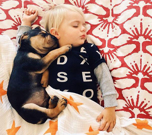 decouvrez-lemouvante-relation-dun-chiot-et-dun-enfant-a-travers-une-serie-de-cliches-touchants32