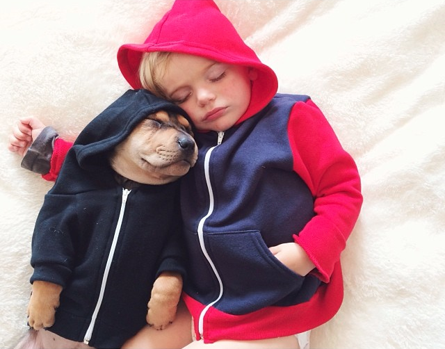 decouvrez-lemouvante-relation-dun-chiot-et-dun-enfant-a-travers-une-serie-de-cliches-touchants35