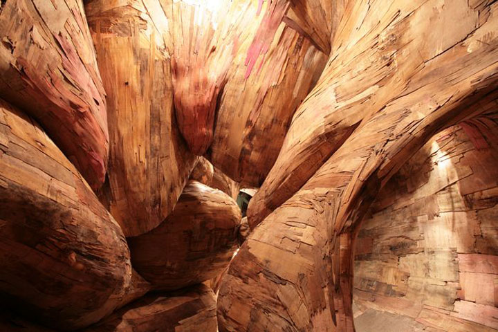 decouvrez-les-surprenantes-installations-en-bois-dun-artiste-bresilien15
