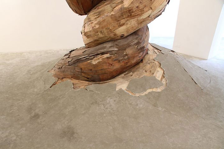 decouvrez-les-surprenantes-installations-en-bois-dun-artiste-bresilien3