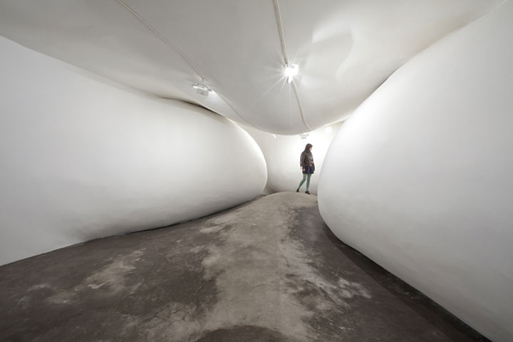 decouvrez-les-surprenantes-installations-en-bois-dun-artiste-bresilien43