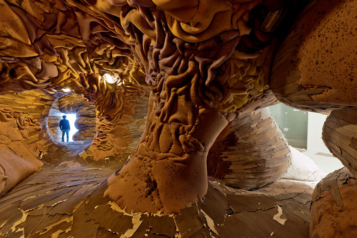 decouvrez-les-surprenantes-installations-en-bois-dun-artiste-bresilien48