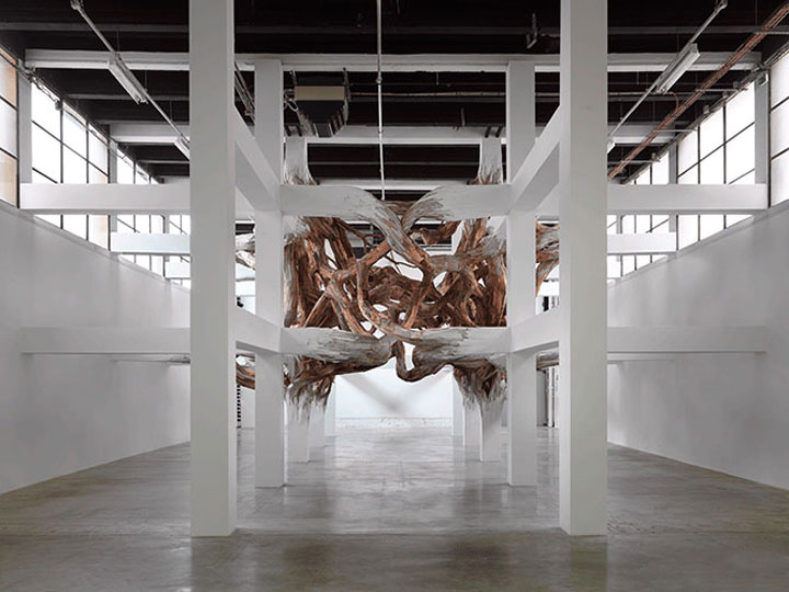 decouvrez-les-surprenantes-installations-en-bois-dun-artiste-bresilien56