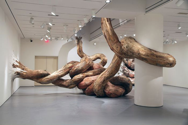 decouvrez-les-surprenantes-installations-en-bois-dun-artiste-bresilien7