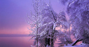 arbres