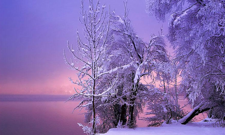 arbres
