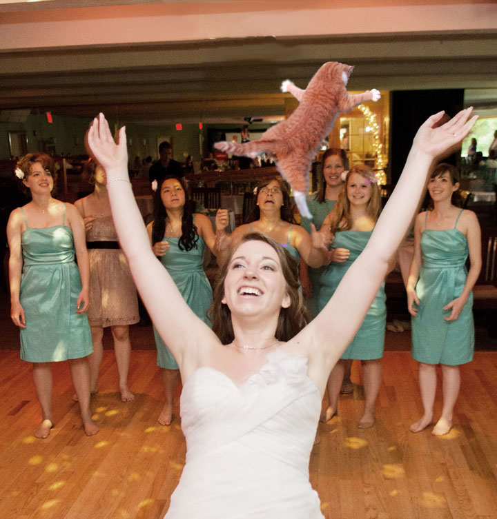 le-lancer-de-chats-dans-les-mariages-le-nouveau-phenomene-delirant-sur-internet26