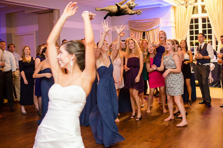 le-lancer-de-chats-dans-les-mariages-le-nouveau-phenomene-delirant-sur-internet62