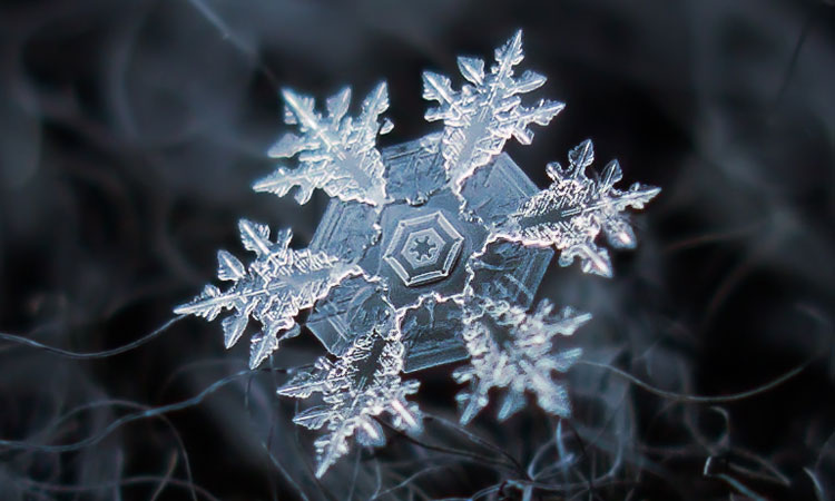 les-flocons-de-neige-tels-que-vous-ne-les-avez-jamais-vus-a-travers-de-magnifiques-cliches-macroscopiques-une