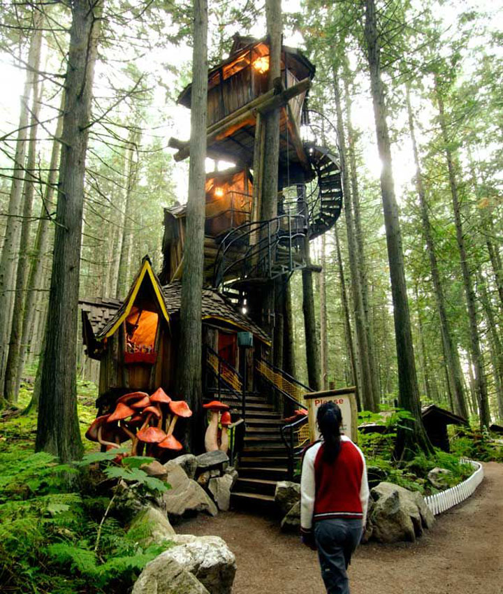 prenez-de-la-hauteur-avec-ses-somptueuses-maisons-perchees-dans-les-arbres15