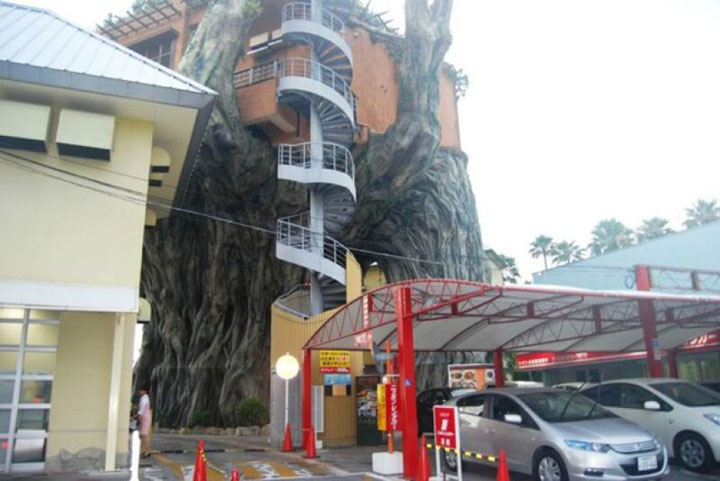 prenez-de-la-hauteur-avec-ses-somptueuses-maisons-perchees-dans-les-arbres25