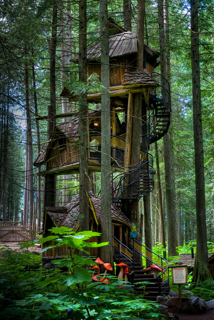 prenez-de-la-hauteur-avec-ses-somptueuses-maisons-perchees-dans-les-arbres30
