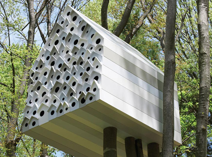 prenez-de-la-hauteur-avec-ses-somptueuses-maisons-perchees-dans-les-arbres55
