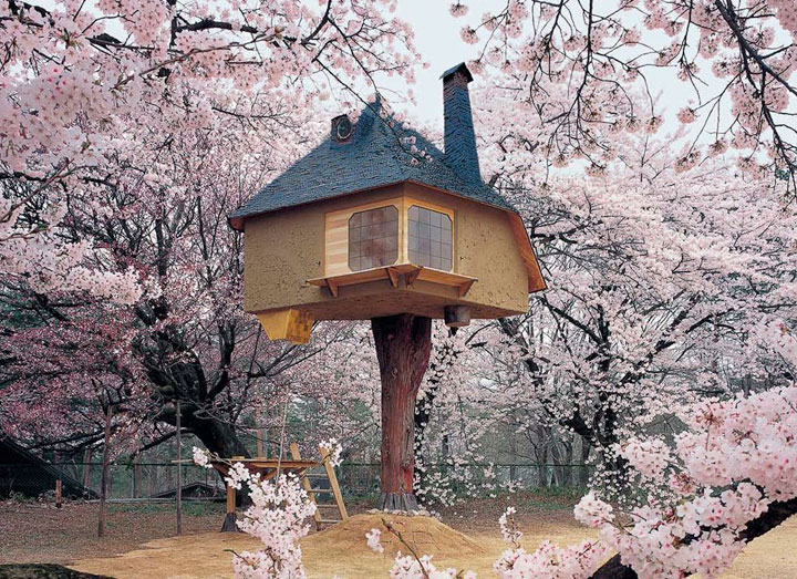 prenez-de-la-hauteur-avec-ses-somptueuses-maisons-perchees-dans-les-arbres58