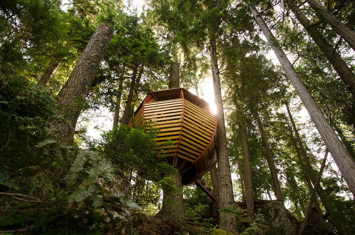 prenez-de-la-hauteur-avec-ses-somptueuses-maisons-perchees-dans-les-arbres62