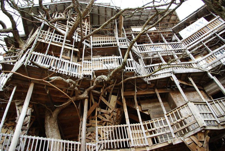 prenez-de-la-hauteur-avec-ses-somptueuses-maisons-perchees-dans-les-arbres74