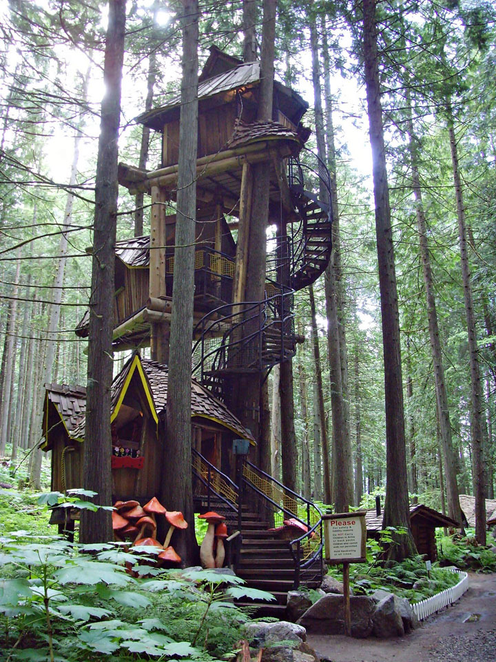 prenez-de-la-hauteur-avec-ses-somptueuses-maisons-perchees-dans-les-arbres79
