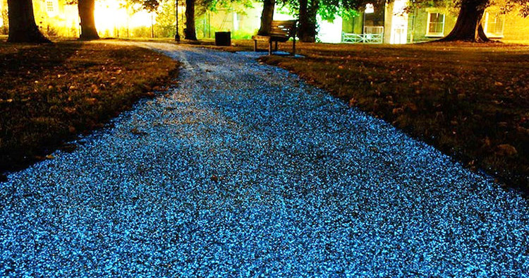 promenez-vous-sur-ce-magnifique-chemin-de-lumiere-ecologique-une