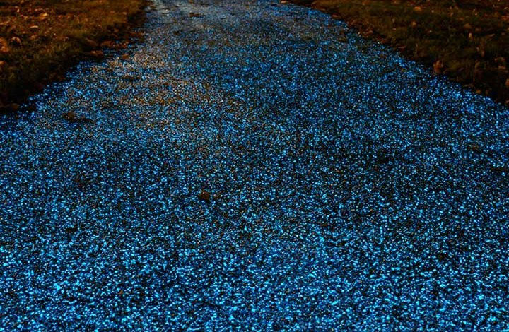 promenez-vous-sur-ce-magnifique-chemin-de-lumiere-ecologique3