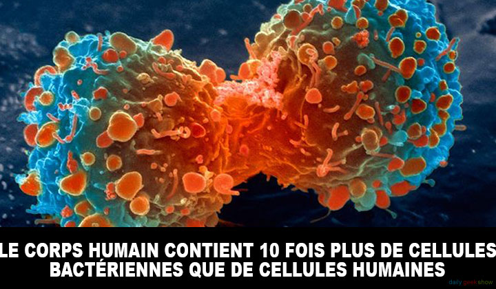 24-faits-insolites-sur-le-corps-humain-qui-vont-vous-etonner15