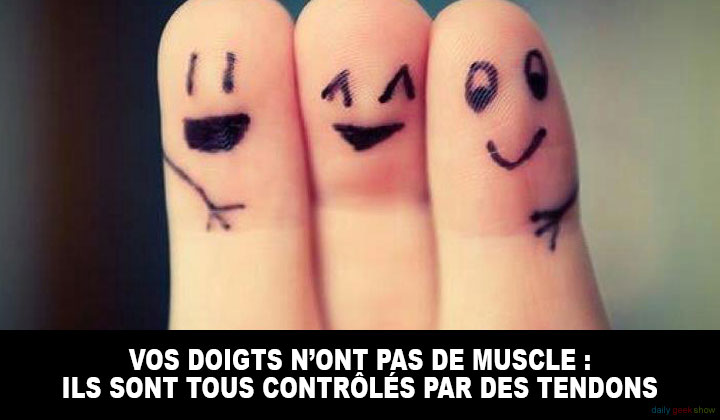 24-faits-insolites-sur-le-corps-humain-qui-vont-vous-etonner4