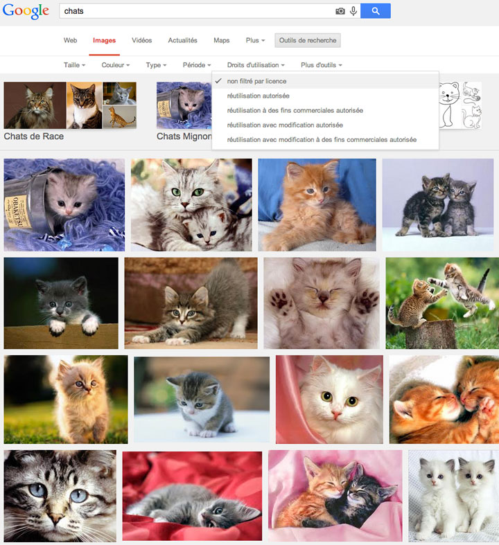 5-astuces-pour-trouver-facilement-et-gratuitement-des-images-libres-de-droits-sur-internet5