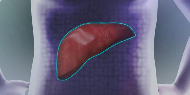 L’impression 3D va encore plus loin avec cet organe en 3D qui sera implanté dans le corps d’un patient en 20141