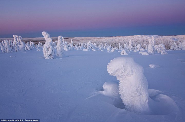 decouvrez-comment-le-froid-polaire-a-transforme-une-foret-en-un-magnifique-paysage-extraterrestre6
