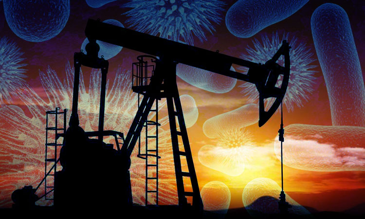 le-petrole-sera-peut-etre-bientot-remplace-par-des-bacteries-genetiquement-modifiees-une