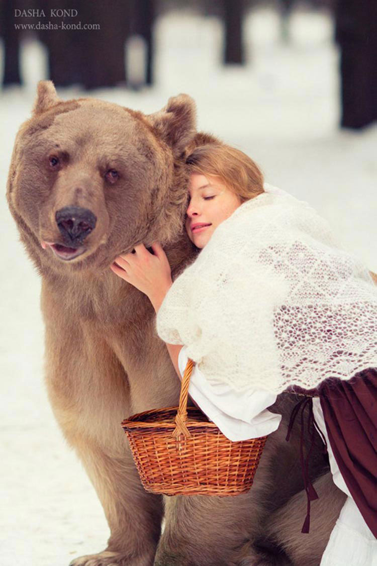 ours-brun
