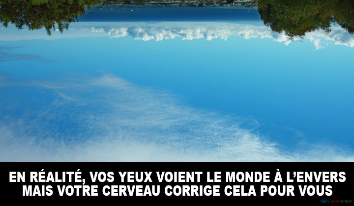 yeux