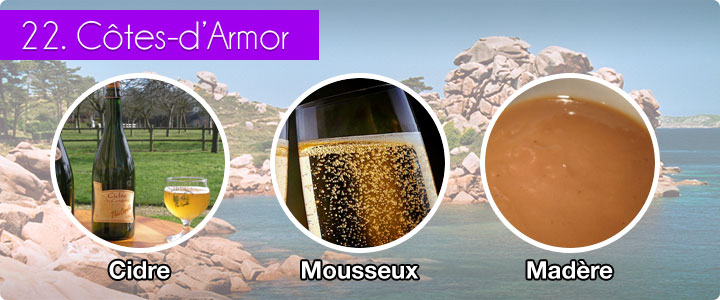 22-Cotes-dArmor