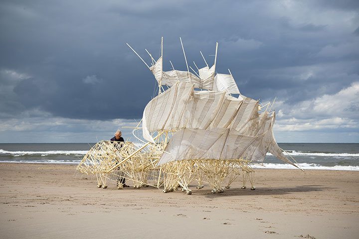 des-creatures-fantastiques-se-deplacent-grace-au-ven13