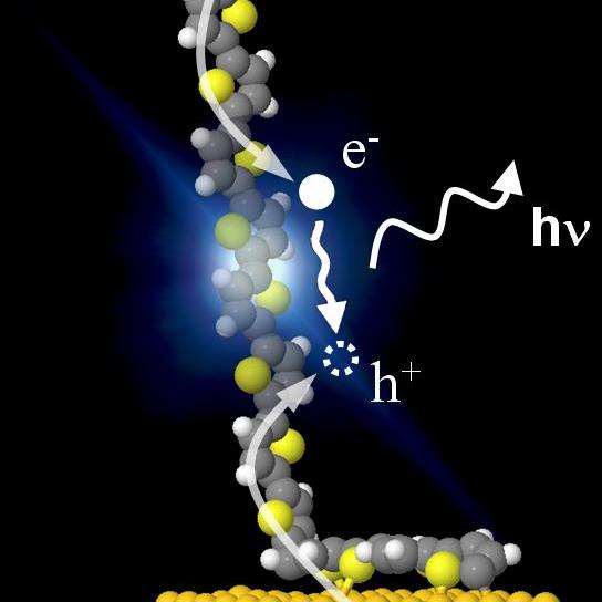 led-moleculaire