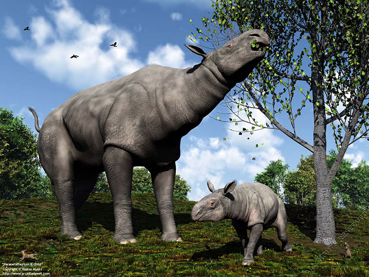 les-10-plus-gros-animaux-de-tous-les-temps12