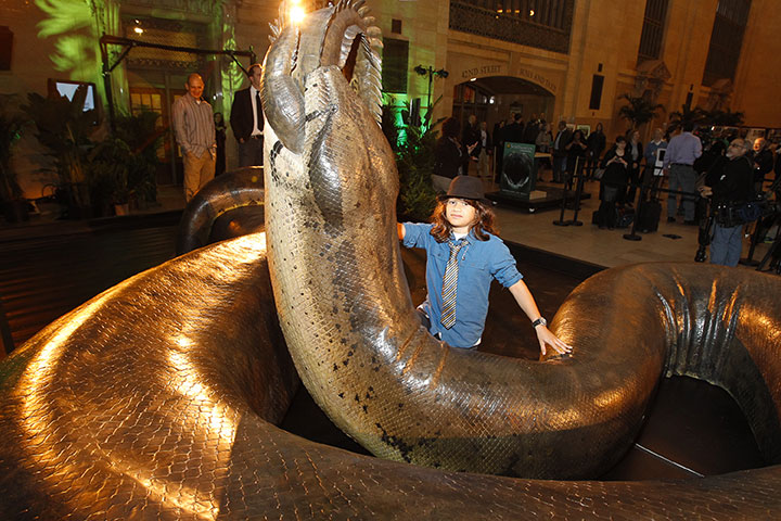 les-10-plus-gros-animaux-de-tous-les-temps13