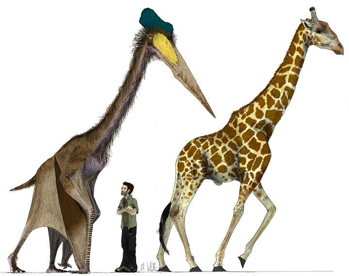 les-10-plus-gros-animaux-de-tous-les-temps14
