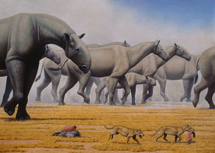 les-10-plus-gros-animaux-de-tous-les-temps7