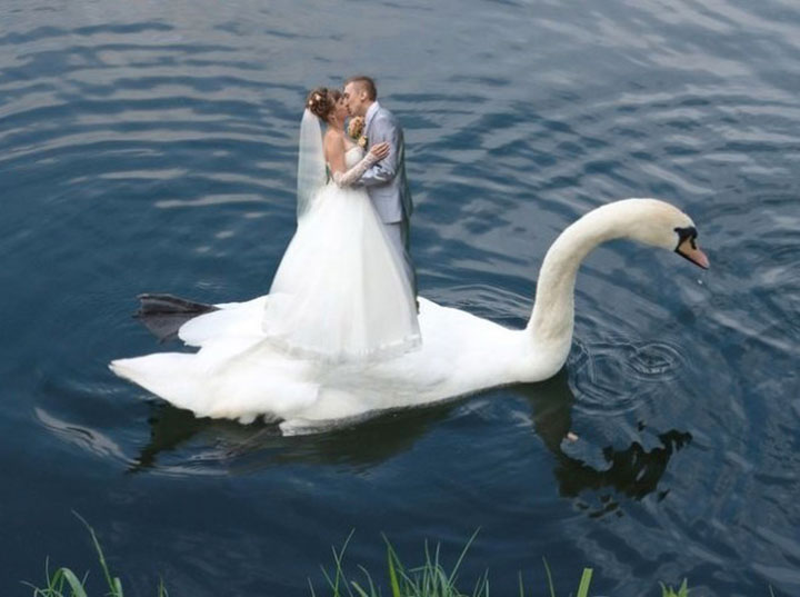photographies-de-mariages-en-russie-un-rituel-tres-particulier12