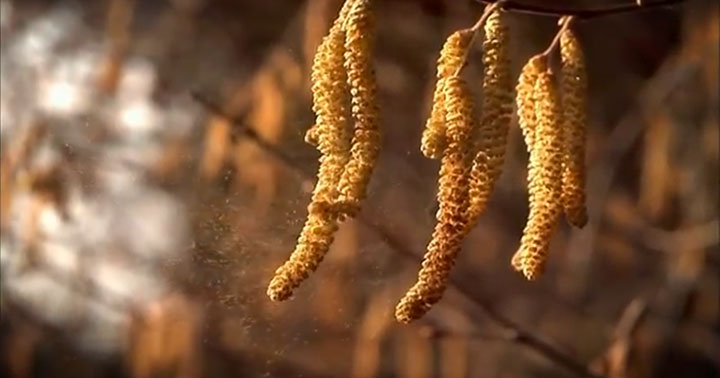 quatre-videos-capturent-la-beaute-a-couper-le-souffle-de-notre-planete1