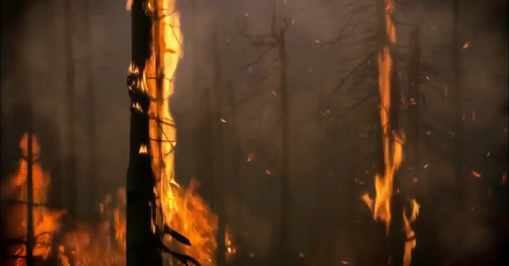 quatre-videos-capturent-la-beaute-a-couper-le-souffle-de-notre-planete13