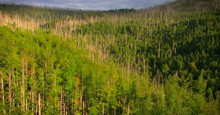 quatre-videos-capturent-la-beaute-a-couper-le-souffle-de-notre-planete15