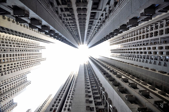 vertical-horizon10